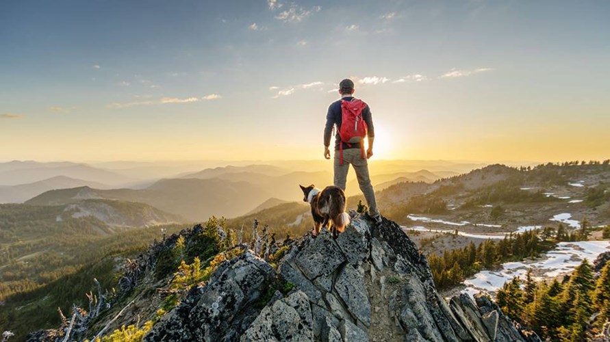 Comment choisir le bon chien?