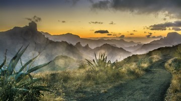 Les îles Canaries, beaucoup plus que des oiseaux à voir!