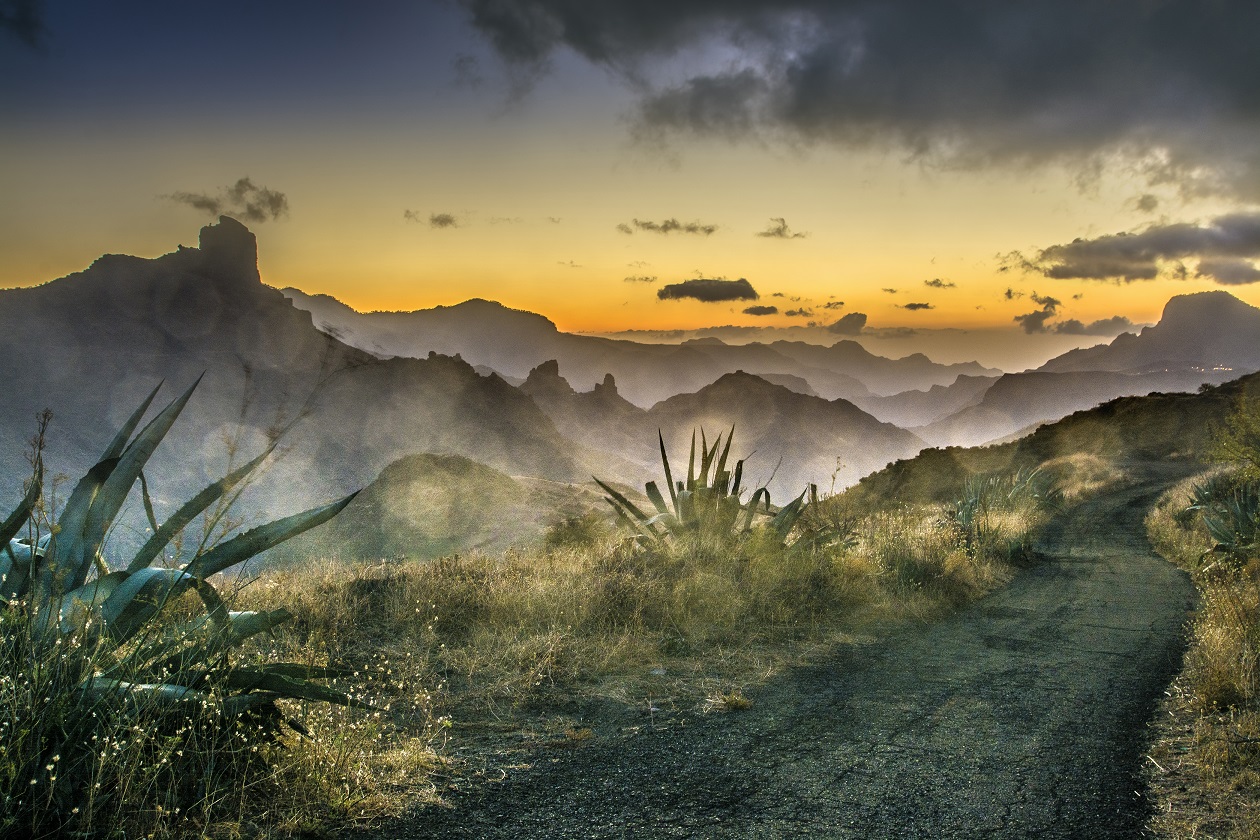 Les îles Canaries, beaucoup plus que des oiseaux à voir!